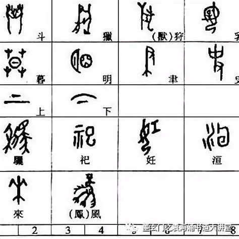 竹 造字法則|六書造字